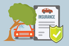 Car insurance policy and car with tree falling on roof with broken windshield flat concept