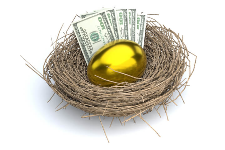 Bird nest with large gold egg and cash representing retirement income