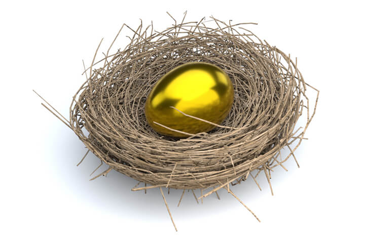 Bird nest with large metallic gold egg concept for retirement nest egg or income