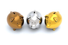 Three shiny pigs Three piggy banks one bronze, one silver, one gold isolated on white background